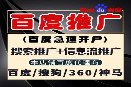 百度推广代运营案例：案例解析：如何实现快速转化